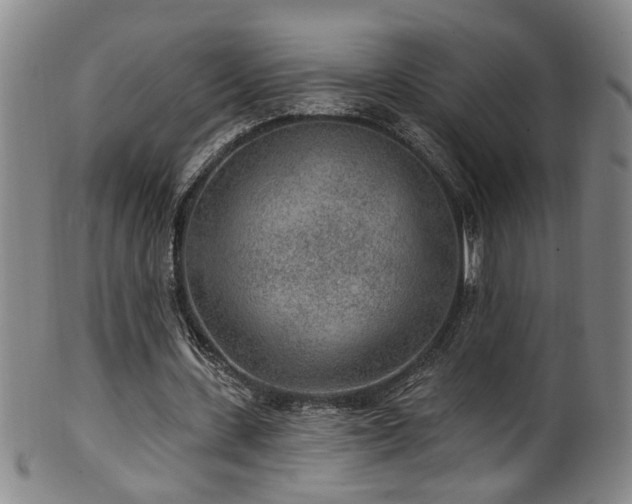 X0000100360531200806061140