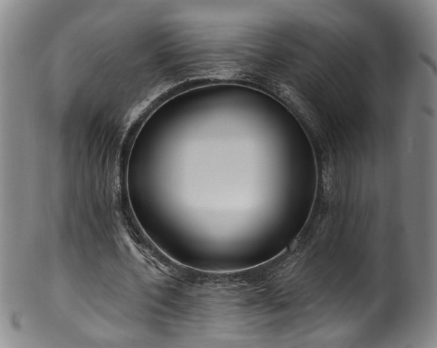 X0000100360532200806061140