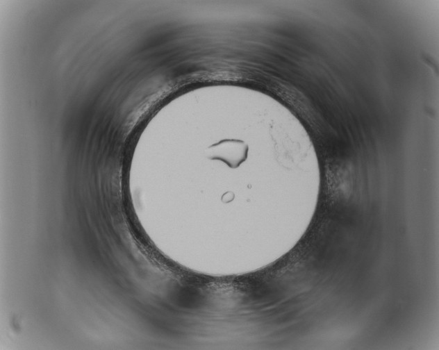 X0000100360534200806061140