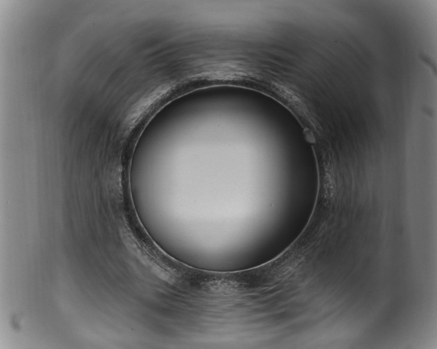 X0000100360535200806061140