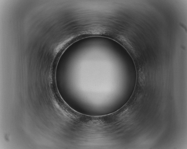 X0000100360536200806061140