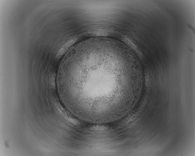 X0000100360537200806061140