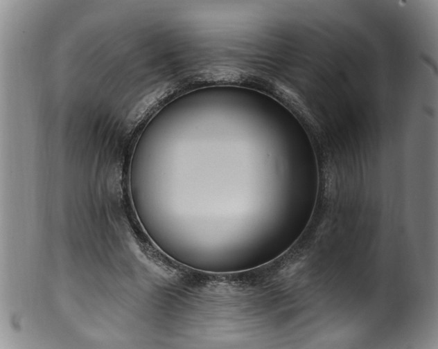 X0000100360538200806061140