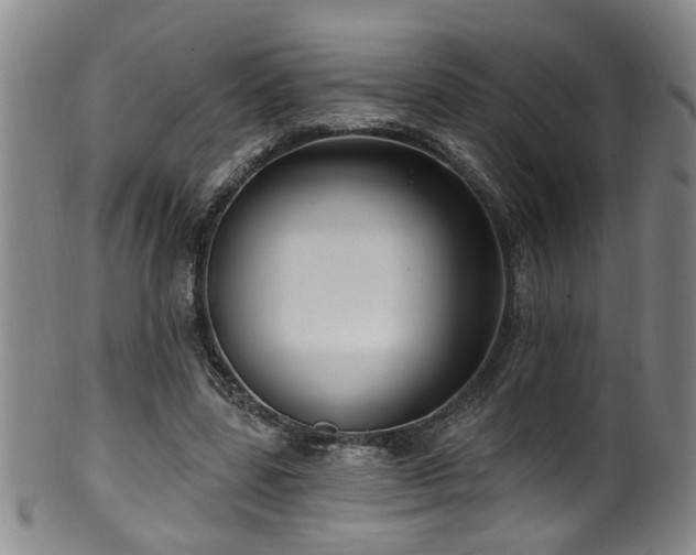 X0000100360539200806061140