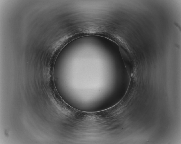 X0000100360540200806061140