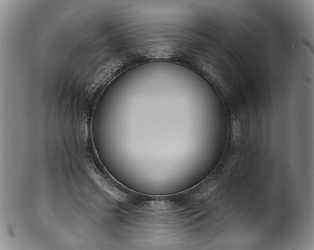 X0000100360541200806061140