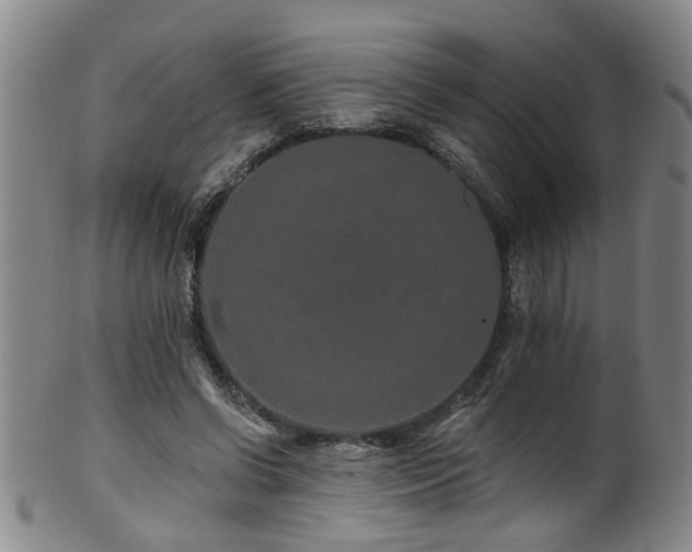 X0000100360542200806061140