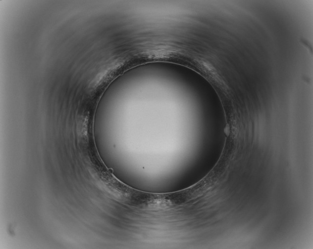 X0000100360543200806061140