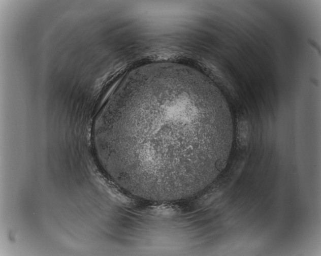 X0000100360545200806061140