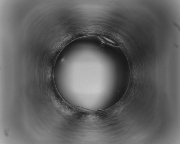 X0000100360546200806061140