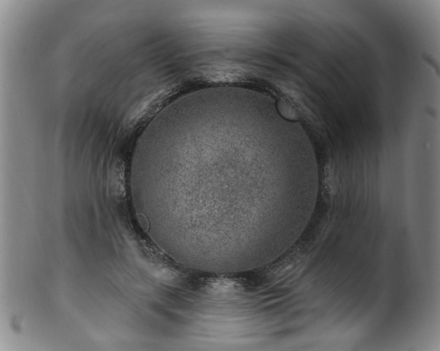 X0000100360547200806061141