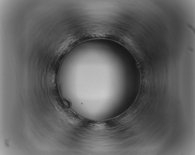 X0000100360548200806061141