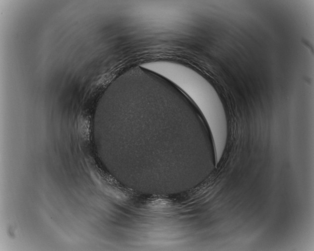 X0000100360551200806061141