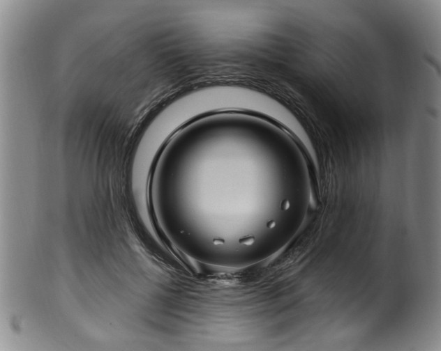 X0000100360552200806061141