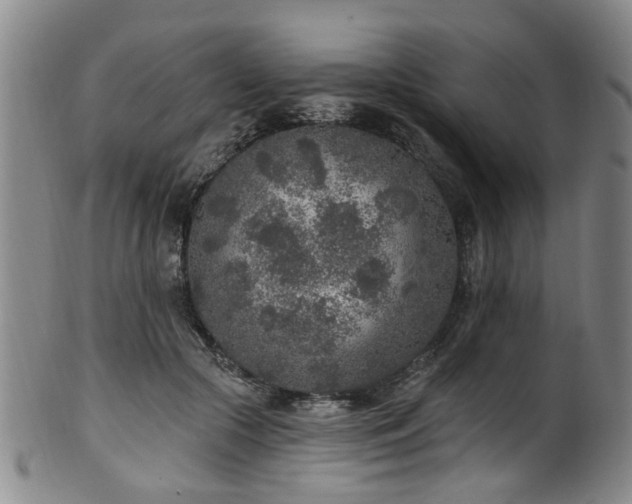 X0000100360553200806061141