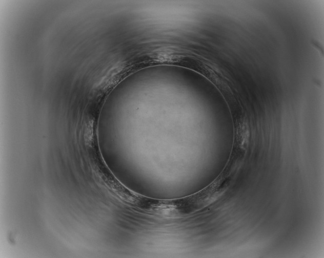 X0000100360554200806061141