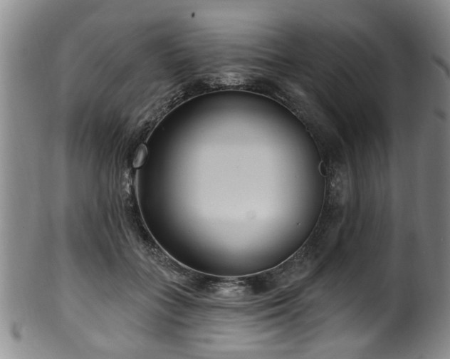 X0000100360555200806061141