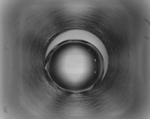 X0000100360556200806061141