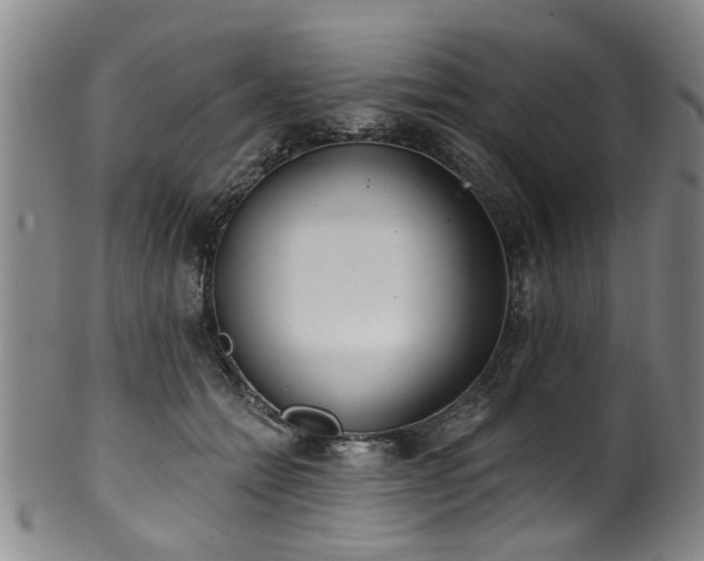 X0000100360558200806061141