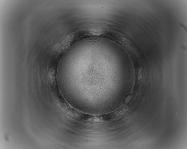 X0000100360559200806061141