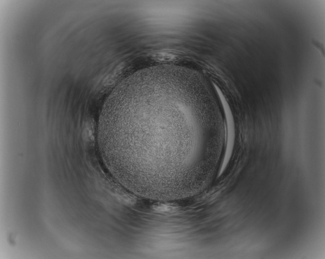 X0000100360561200806061141