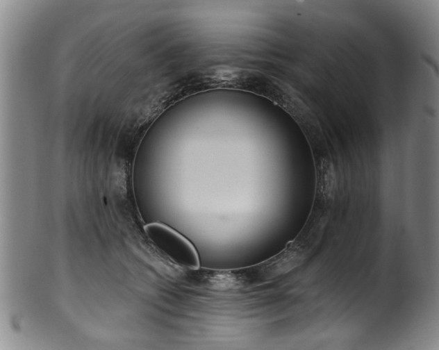 X0000100360562200806061141