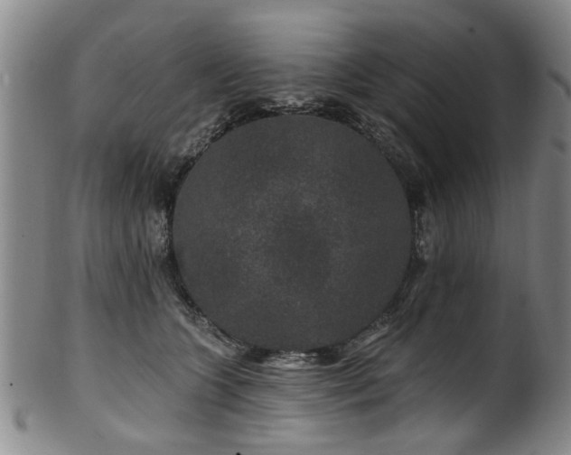 X0000100360563200806061141