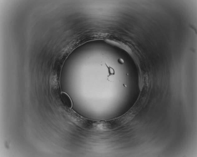 X0000100360564200806061141