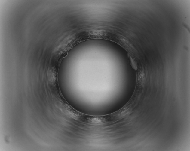 X0000100360566200806061141