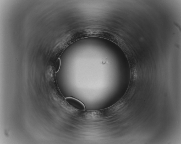 X0000100360567200806061141