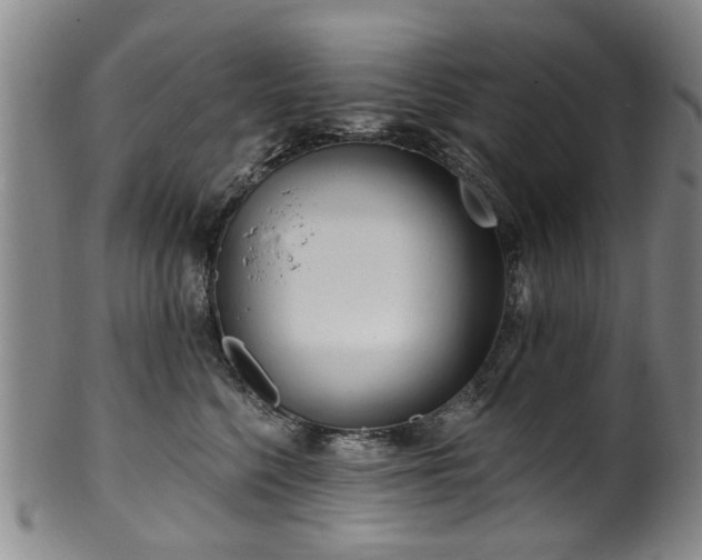 X0000100360568200806061141