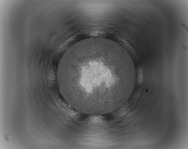 X0000100360569200806061141