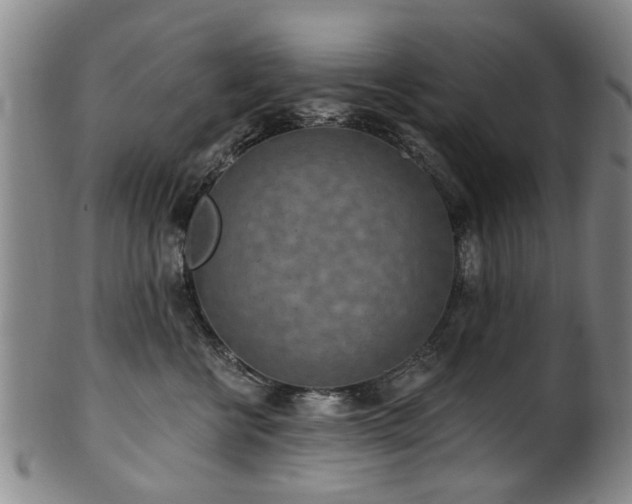 X0000100360570200806061141