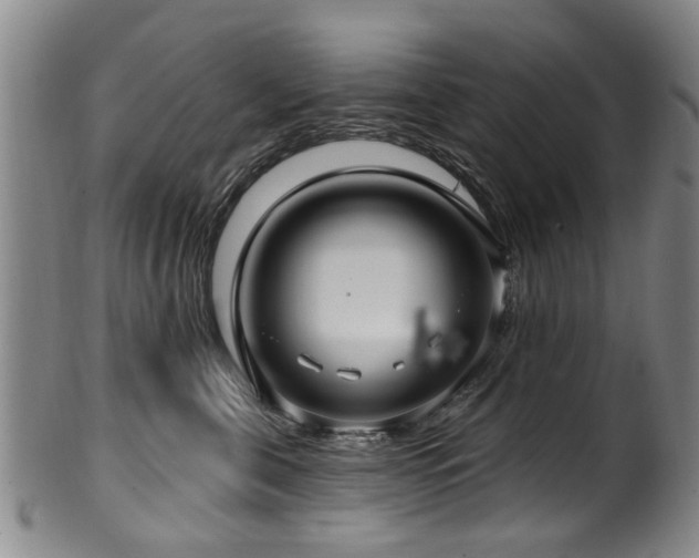 X0000100360571200806061141