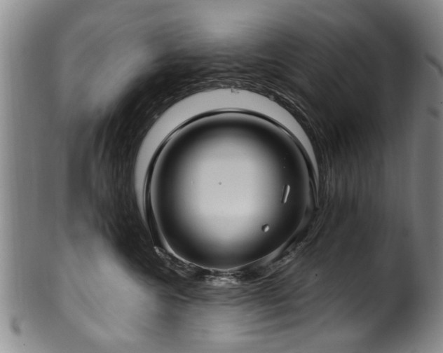 X0000100360572200806061141