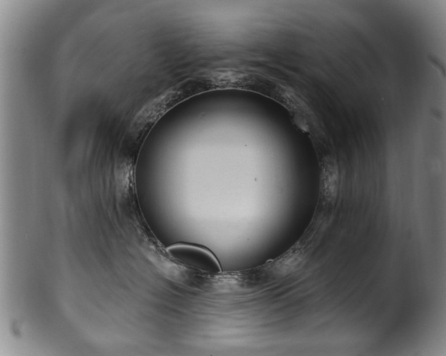 X0000100360574200806061141