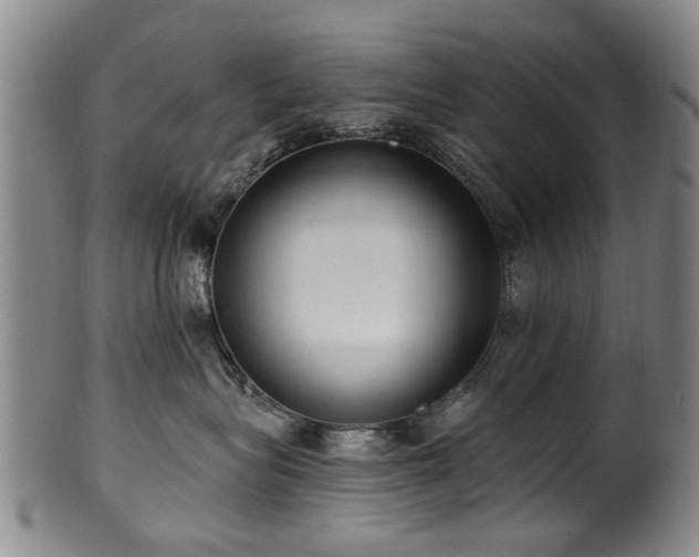 X0000100360575200806061141