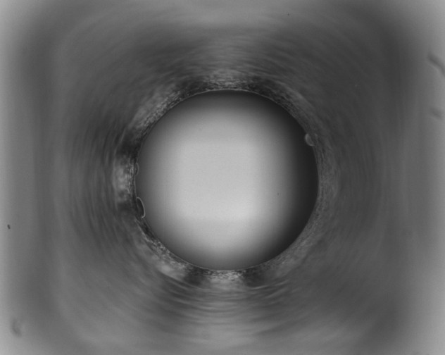 X0000100360576200806061141