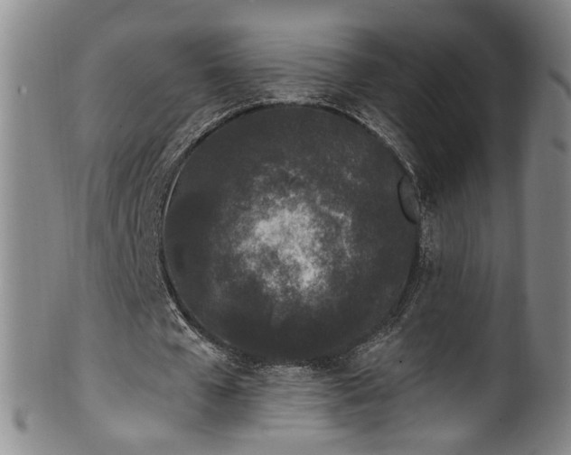 X0000100360577200806061140