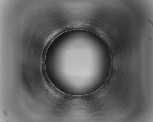 X0000100360578200806061140