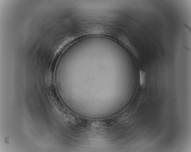 X0000100360579200806061140