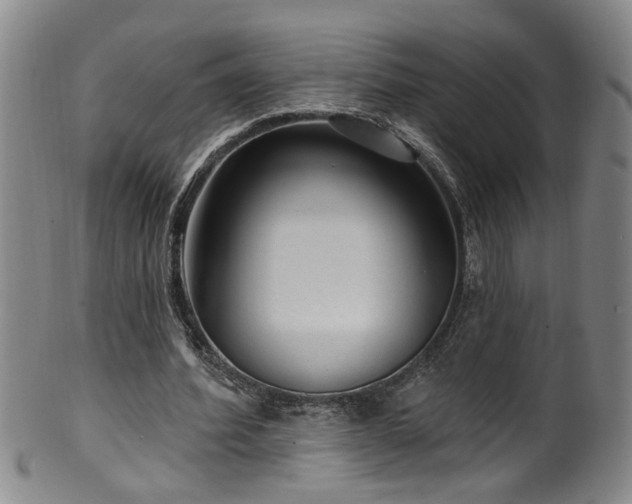 X0000100360580200806061140