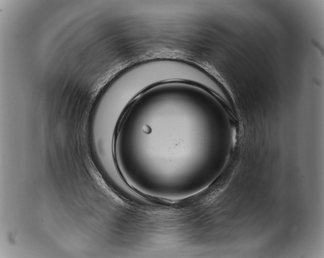 X0000100360581200806061140