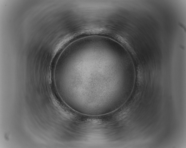 X0000100360582200806061140