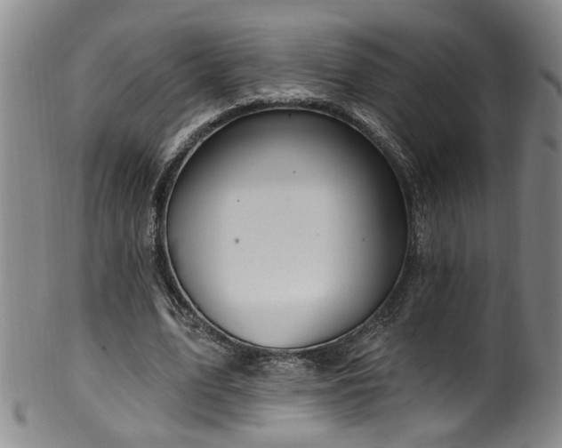 X0000100360583200806061140