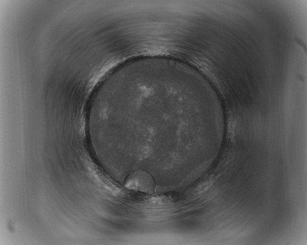 X0000100360584200806061140