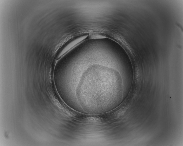 X0000100360585200806061140