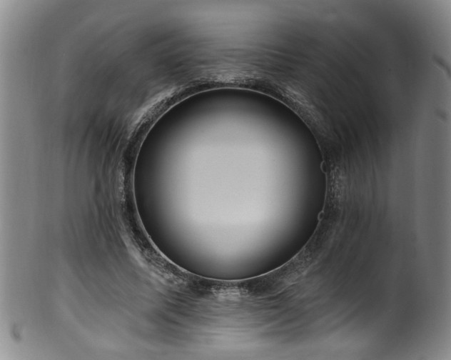 X0000100360587200806061140