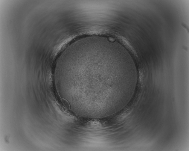 X0000100360588200806061140