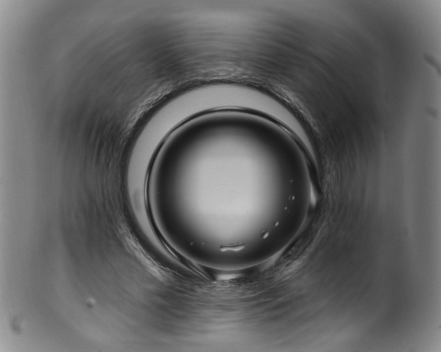 X0000100360589200806061140